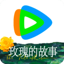 长腿的动物打一生肖